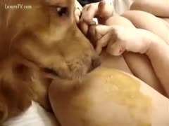 Dog licking snatch